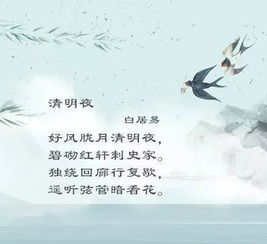 古詩,詩句,婦女,詞中