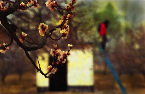 詩句,配圖,于春