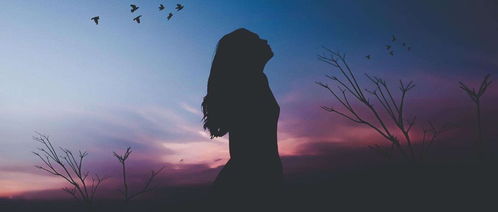 關(guān)于一生一世的詩句