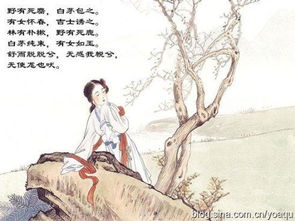 詩經(jīng)中關于其的詩句