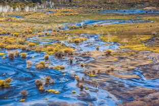 秋天草原詩(shī)句古詩(shī)