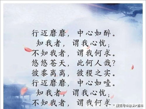 詩(shī)句,詩(shī)中,有心,有哪些