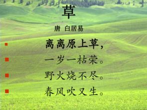 六級關(guān)于草詩句