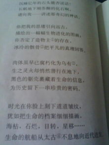 親情鄉(xiāng)情友情的詩句,描寫親情和友情的詩句,親情愛情友情的詩句