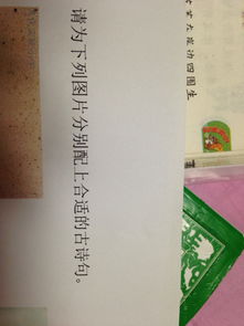 畢業(yè)分別的古詩(shī)句,分別的古詩(shī)句有哪些,分別的古詩(shī)句子