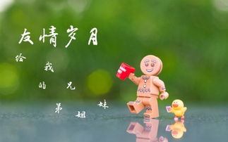 關(guān)于友誼的配圖唯美詩(shī)句