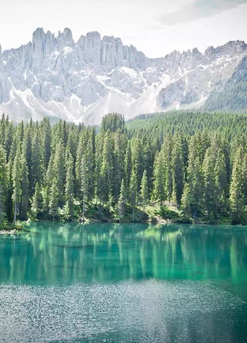 表現(xiàn)山間美景的古詩句