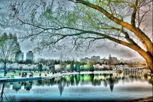 和玉淵潭賞春有關(guān)的古詩句