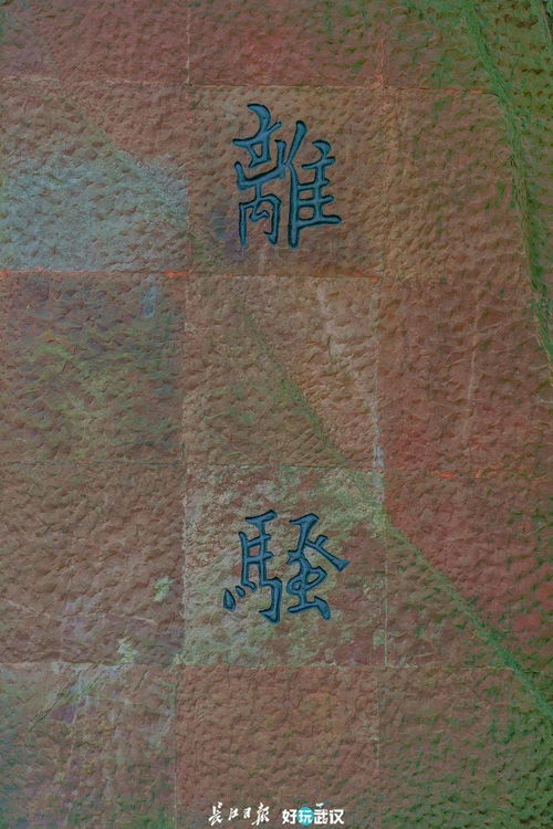 關于《彷徨》的詩句