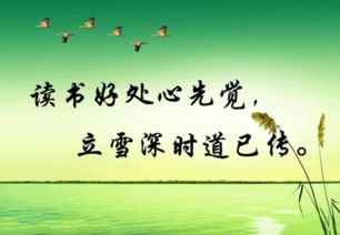 關(guān)于讀經(jīng)典頌美德獲新知的詩(shī)句