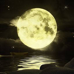 兩個關(guān)于月亮的詩句