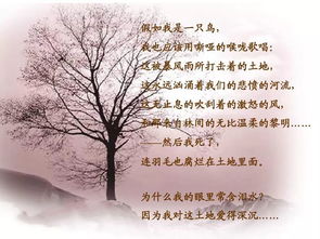 有關(guān)于土的詩句