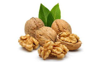 核桃,詩(shī)句,夏天