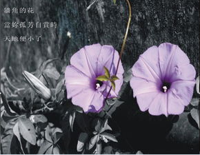 關(guān)于春雨作文引用詩句