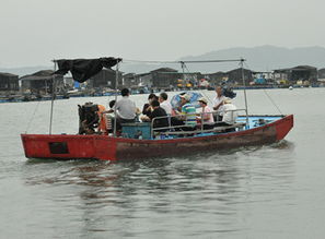 關(guān)于海上牧場(chǎng)的詩(shī)句