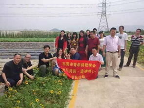 關(guān)于找不到歸宿的詩句