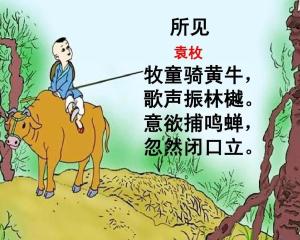 詩句,知了