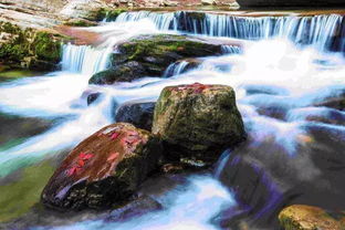 關(guān)于深秋的詩句古詩詞