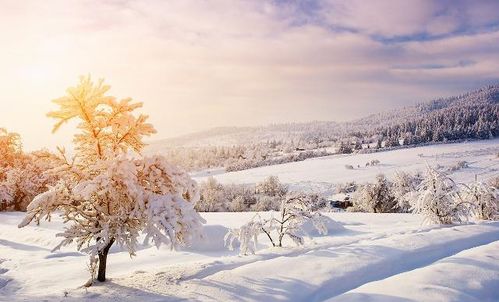 描寫節(jié)氣大雪的詩句古詩詞