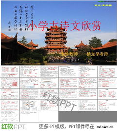 小學(xué)古詩競(jìng)賽必考的詩句理解