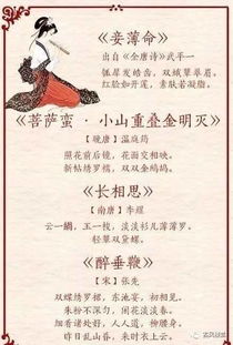 關(guān)于稱贊中醫(yī)的詩句