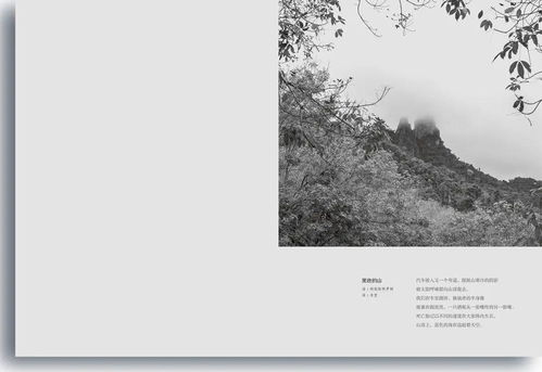 關(guān)于陌生的詩句