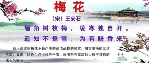 古詩,詩句,描寫