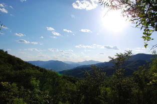 關(guān)于北京西山森林公園的詩句
