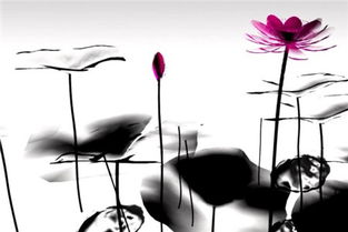 與重陽有關(guān)的古詩句