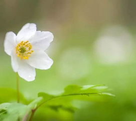 關(guān)于美麗勵(lì)志的詩(shī)句