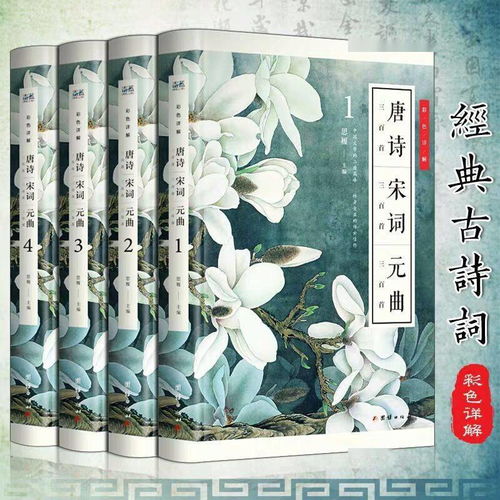 精妙,用詞,古詩(shī),詩(shī)句