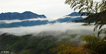 關(guān)于舟和帆的詩(shī)句