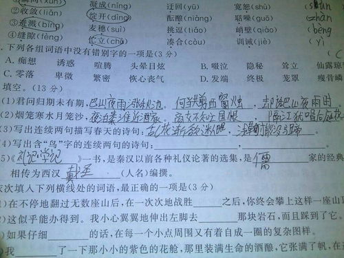 連續(xù)兩句帶鳥的古詩句