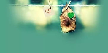 關(guān)于磨練意志的詩(shī)句