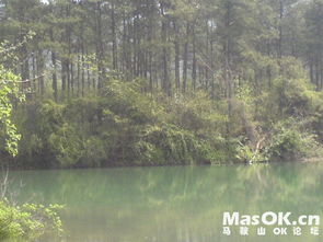 贊美青山綠水的古詩句,描寫青山綠水的古詩句,形容青山綠水的古詩