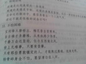 關(guān)于面對逆境的詩句