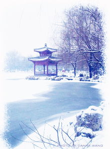 關(guān)于雪景畫的詩(shī)句