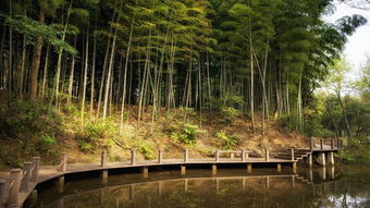 關(guān)于草花風(fēng)雨的古詩句