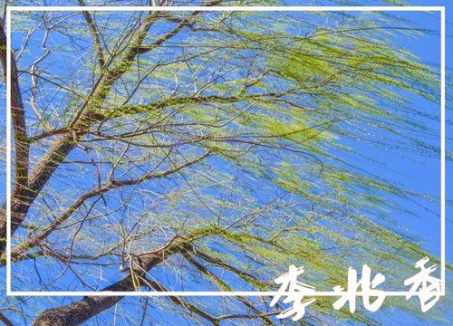 關(guān)于春風(fēng)暖意的詩(shī)句