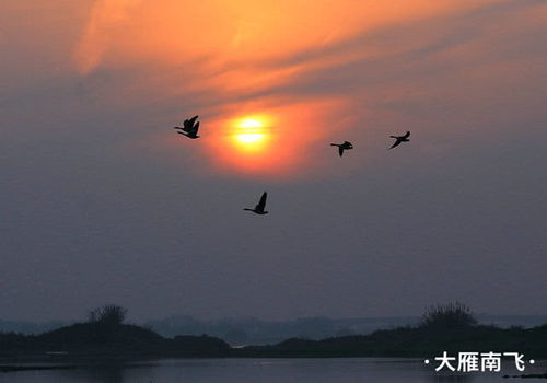 關(guān)于大名八景的詩句