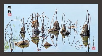 描寫(xiě)荷花的詩(shī)句古詩(shī)李白