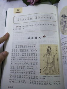 關(guān)于詩(shī)句書(shū)的作文