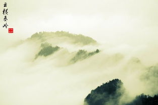 與水有關(guān)的古詩(shī)句,與月有關(guān)的古詩(shī)句,與成功有關(guān)的古詩(shī)句