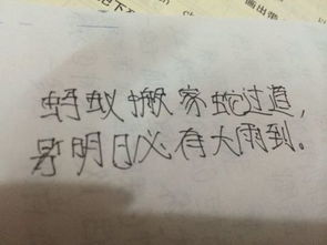 兩句,詩句,有哪些