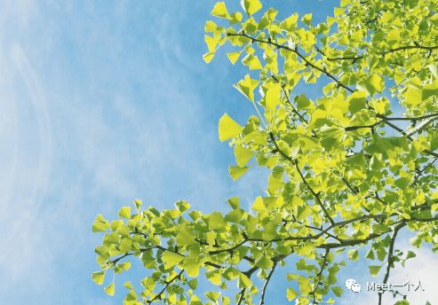 表達愛情的古詩句,愛情失意的古詩句,祝福愛情長久的古詩句