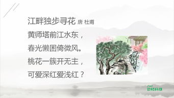 古詩,詩句,描寫,詩中