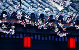 深秋禪意的古詩句