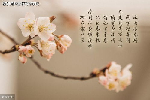 詩(shī)句,講究,方法