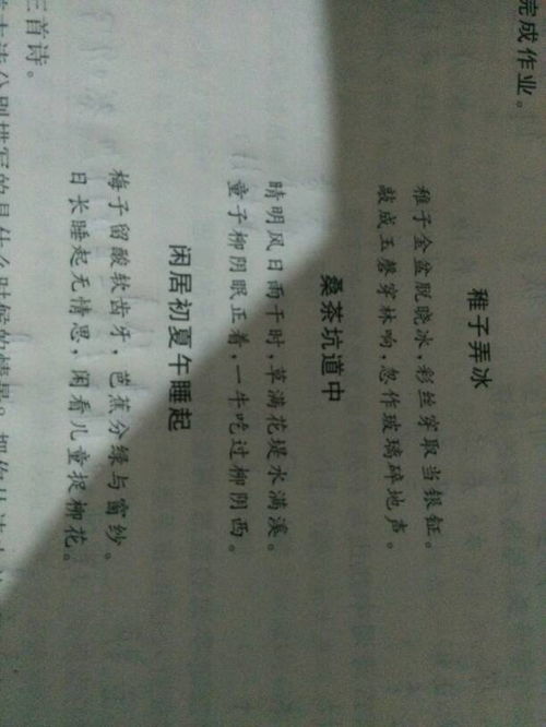 關(guān)于描寫(xiě)拾光的詩(shī)句