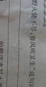 絕處逢生意思相近的古詩句